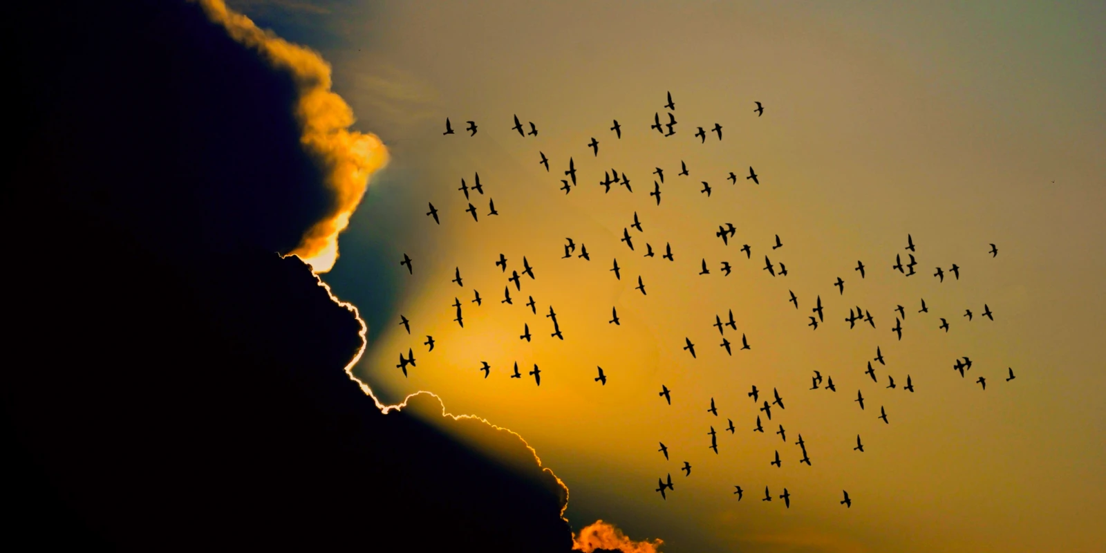 /2022-05-20-binary-cluster-analysis/featured-image.webp